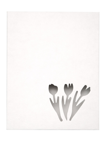 Коробка 260 х 215 х 40 мм K5.3.0 вырубка "Тюльпаны" белая