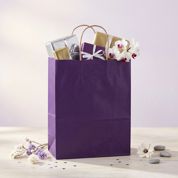 Пакет крафт 250 x 220 x 120  крученые ручки Dark Violet Темно-фиолетовый 80г/м2