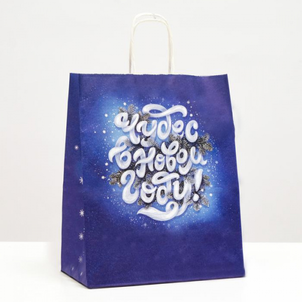 Крафт пакет с кручёными ручками 270 х 220 х 120 мм "Чудес в новом году"