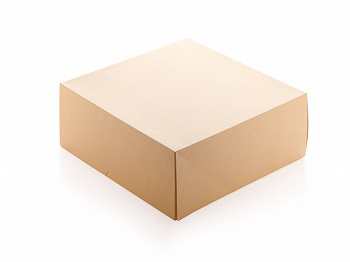 Коробка контейнер 255 х 255 х 105 мм CAKE6000, по 15шт
