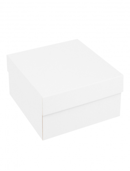 Коробка 210 х 210 х 100 мм K21.100.0 белая