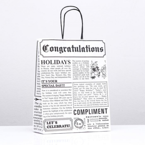 Крафт пакет с кручёными ручками 320 х 250 х 100 мм "Газета" БЕЛЫЙ